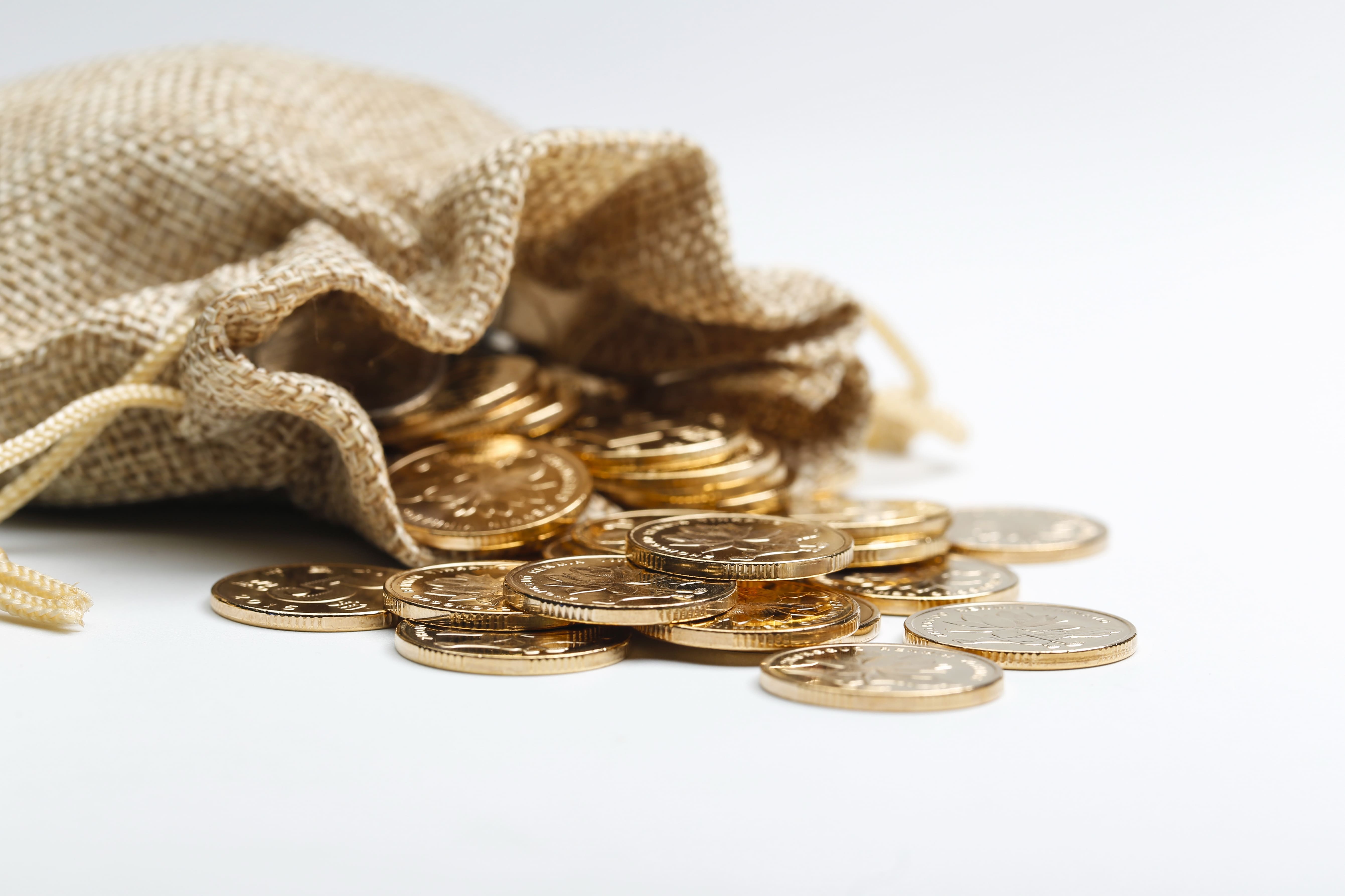 Gold Loan